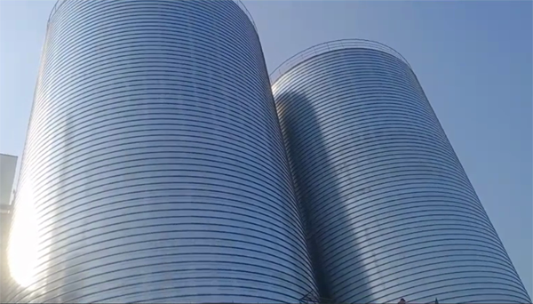 五寨2座混凝土高架卷板仓